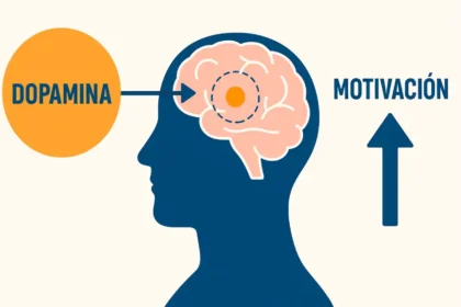 dopamina-motivacion-cerebro